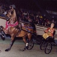 Carolyn Dillon Photo 21