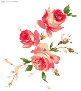 Annie Cheng Photo 15