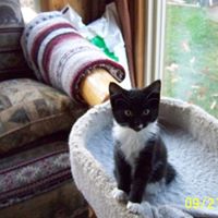 Debra Doherty Photo 5