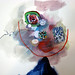 Sue Haddock Photo 12