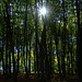 Dawn Cox Photo 24