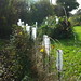 Gary Plott Photo 5