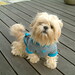 My Dang Photo 9