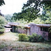 Dorothy Wright Photo 18