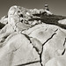 Blanche Stone Photo 5