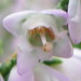 Heather Kirby Photo 24