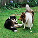 Bonnie Oliver Photo 14