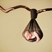 Joanna Kelley Photo 4