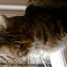 Tabatha Jennings Photo 9