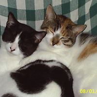 M Ritchie Photo 15