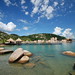 Tom Doan Photo 16