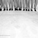 Elisa Robles Photo 25