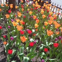 Deborah Biggs Photo 18