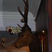 William Head Photo 35
