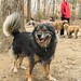 Bennie Wells Photo 3