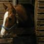 Bonnie Atkins Photo 14