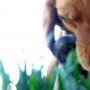 Ginger Evans Photo 11