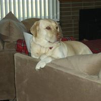 Debbie Burgess Photo 7