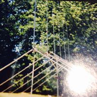 William Meeks Photo 32
