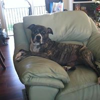 Kathleen Tuttle Photo 17