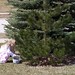 Lora Hunt Photo 25