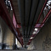 Randall Bernstein Photo 10