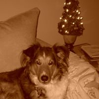 Maureen Donovan Photo 37
