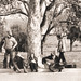 Debbie Fraley Photo 18