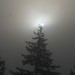 Douglas Bowen Photo 38