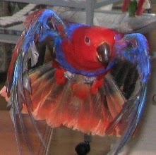 Nancy Richards Photo 6