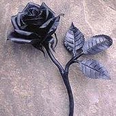 Tammy Winters Photo 10