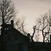 Thomas Hill Photo 36