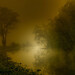 Misty Nelson Photo 17