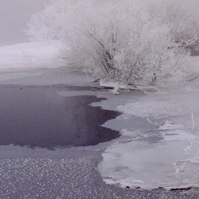 David Roush Photo 9