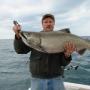 Wayne Goodrich Photo 20