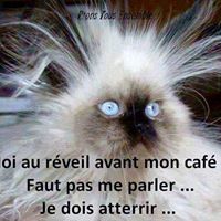 Edith Schneider Photo 24