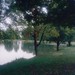 Lawrence Potter Photo 19