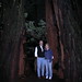 Lori Wood Photo 15