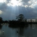 Ray Swan Photo 11