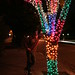 Susan Winer Photo 6