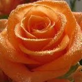 Archana Ramaseshan Photo 1