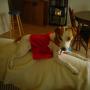 Maisy May Photo 2