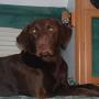 Linda Middleton Photo 24