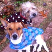 Pattie Tuttle Photo 1