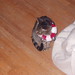 Albert Bell Photo 37