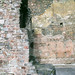 Roger Lyons Photo 15