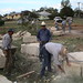 Robert Henricks Photo 14