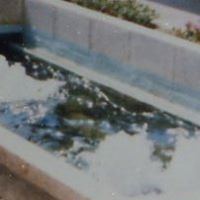 Cathy Cartwright Photo 22