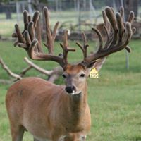 Heath Reynolds Photo 2