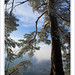 Gerald Winters Photo 8